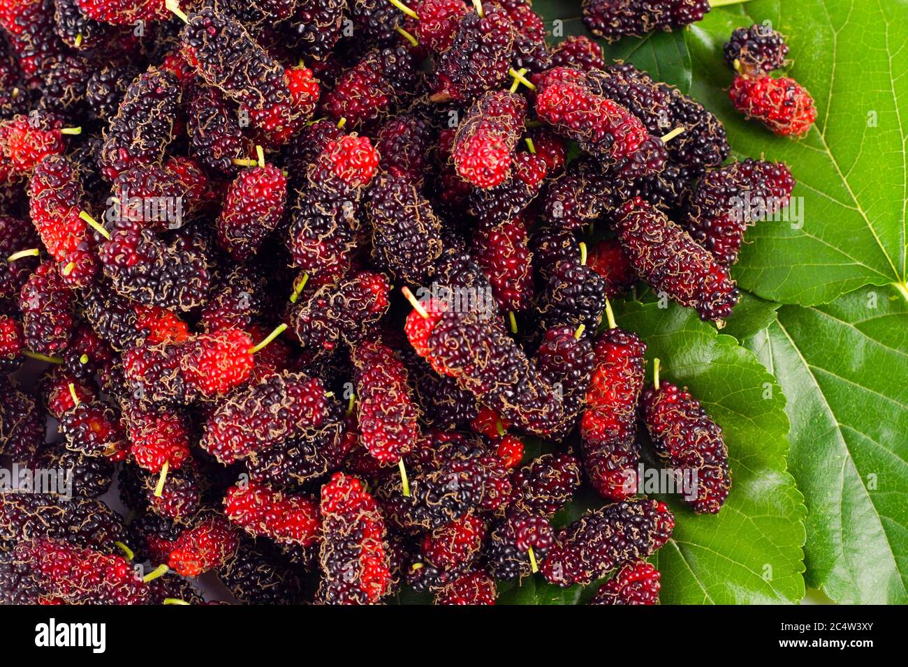 mulberry fruit and mulberry leaf  on white background healthy mulberry fruit food isolated Stock Photo
