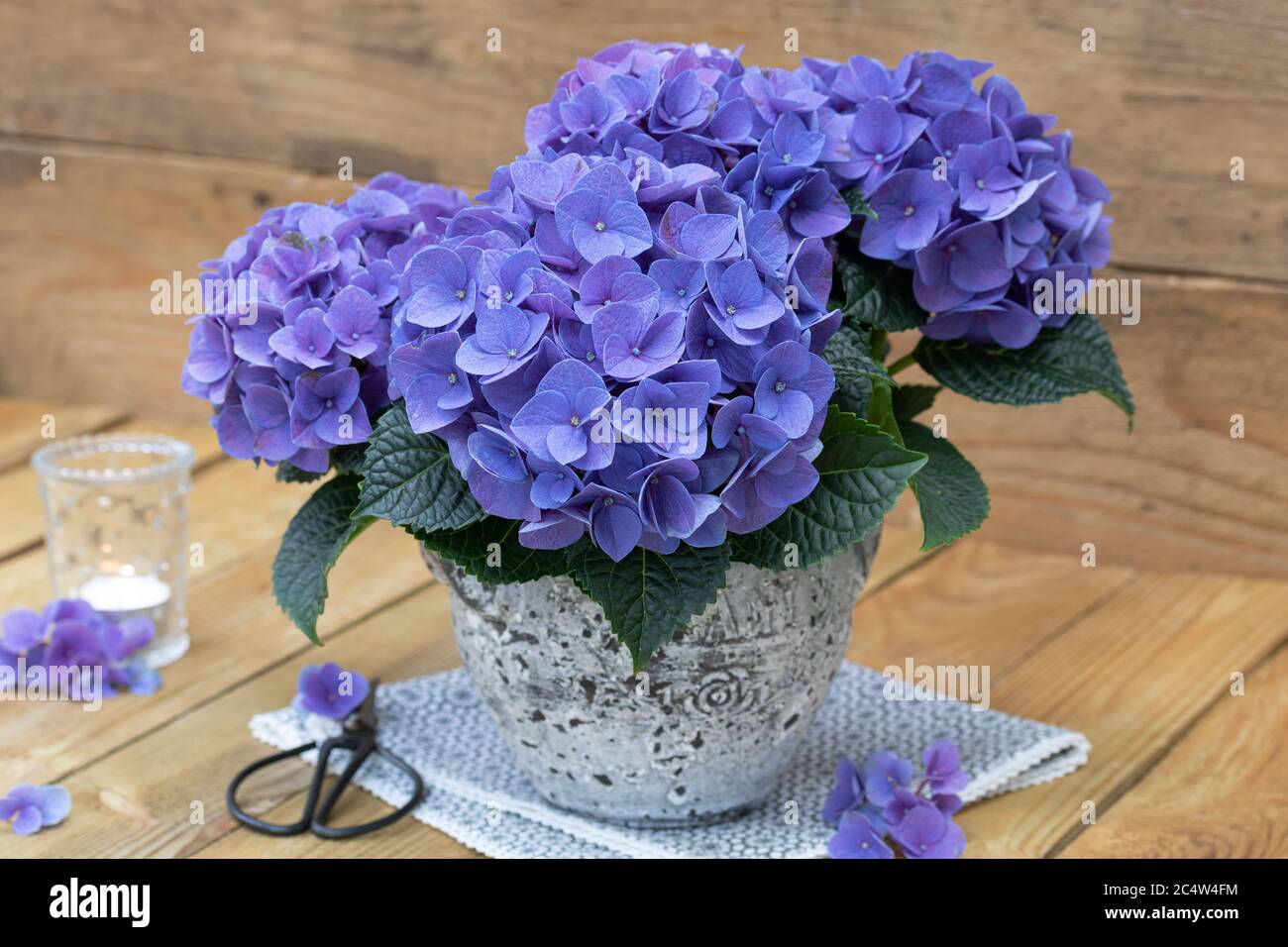 bouquet of hydrangea in blue in vintage vase Stock Photo - Alamy