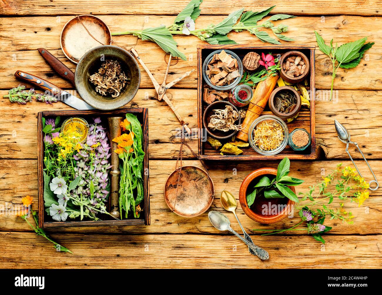 Sage scales hires stock photography and images Alamy