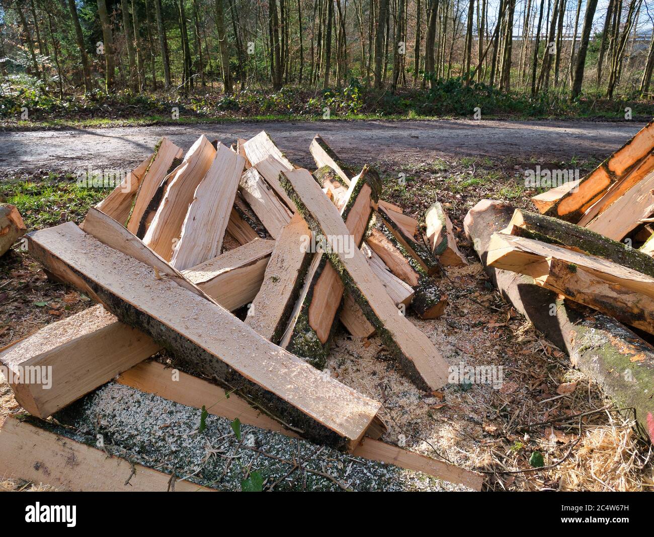 Trees processed and cut into logs lie in a pile next to the footpath in