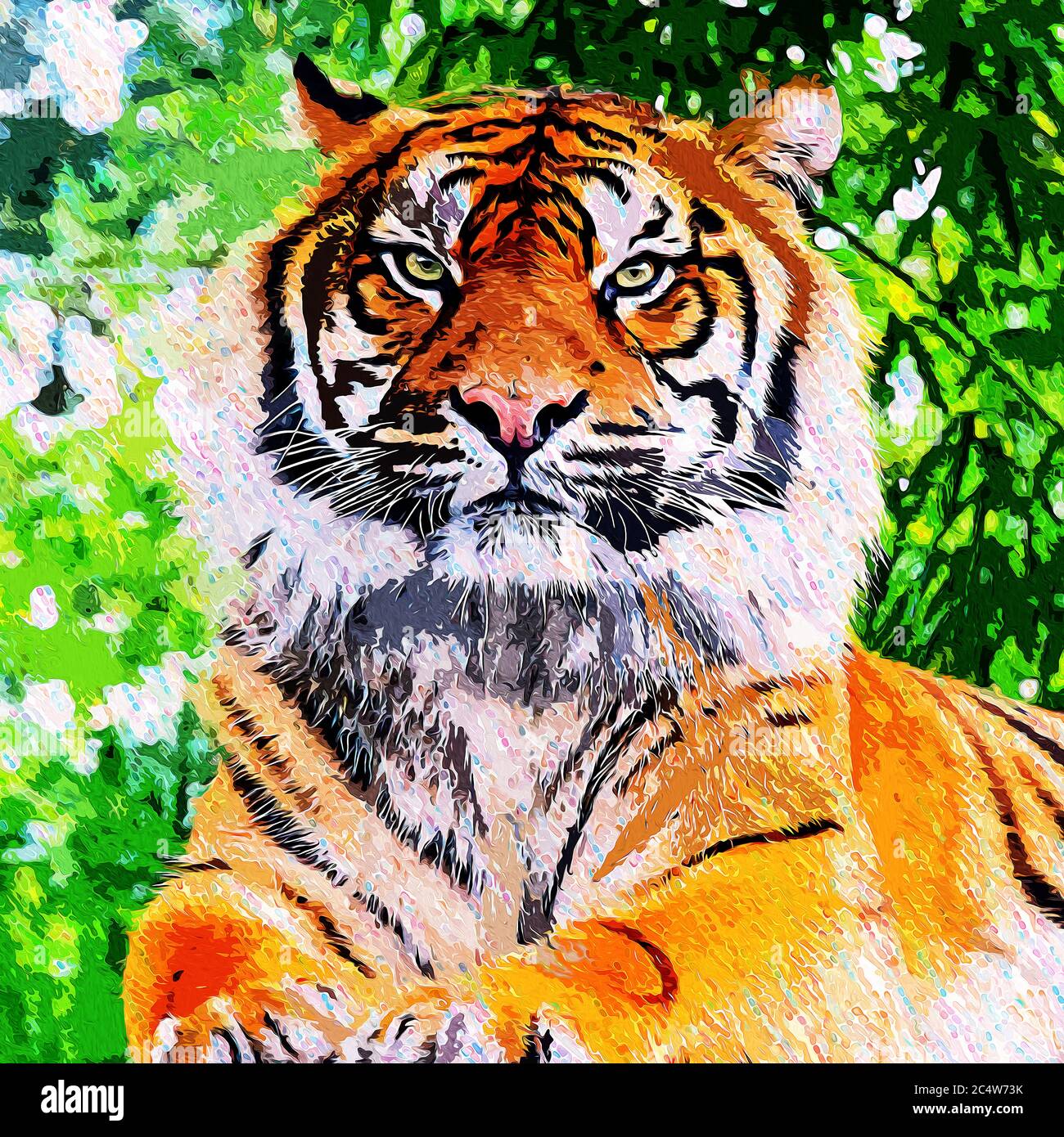 Wild Tiger Stock Photo