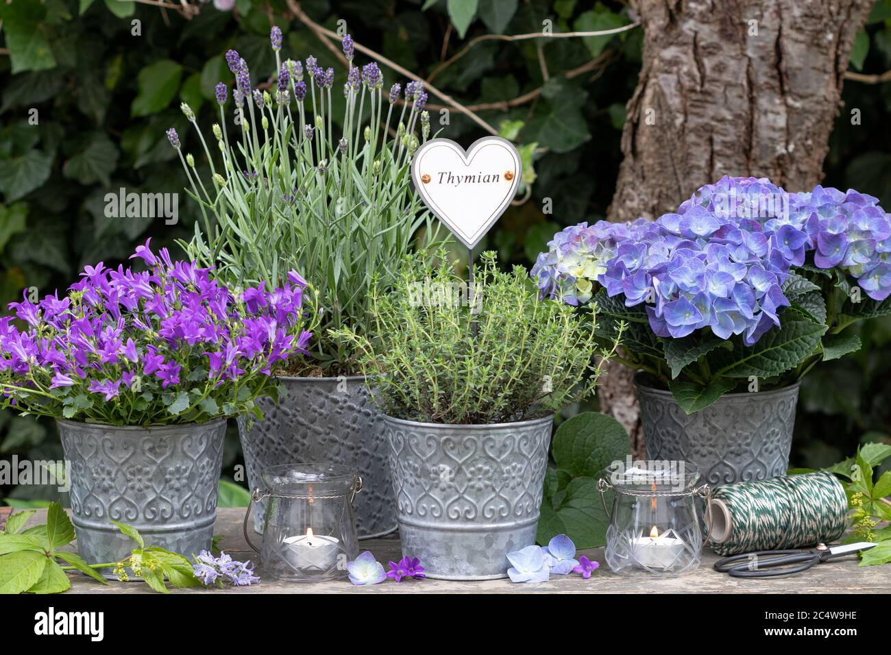 Herbs decoration hi-res stock photography and images - Alamy