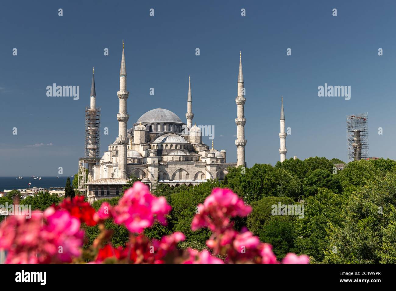 Sultanahmet Blue Mosque in Sultanahmet, Istanbul City, Turkey Stock ...