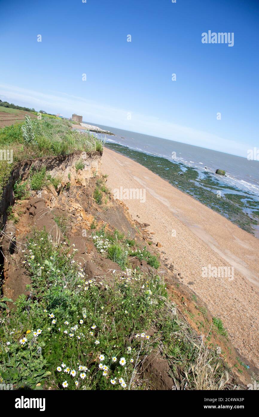 Mass movement collapse of soft cliffs due to coastal erosion at East Lane, Bawdsey, Suffolk, England, UK Stock Photo