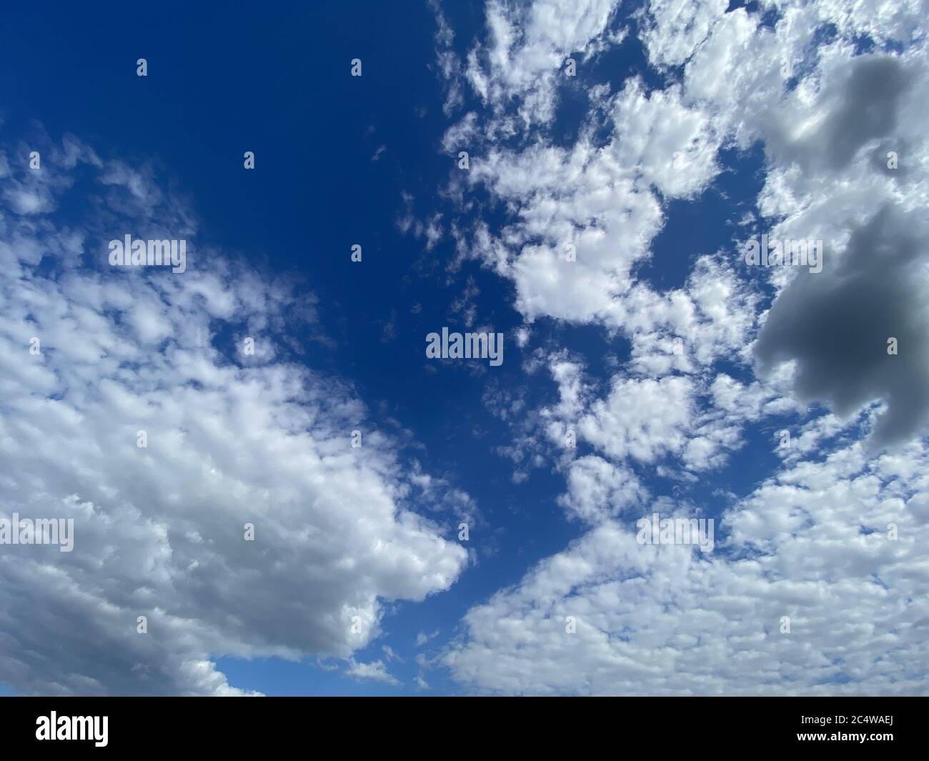 Low angle shot of the fluffy clouds on a fresh sunny day - concept ...
