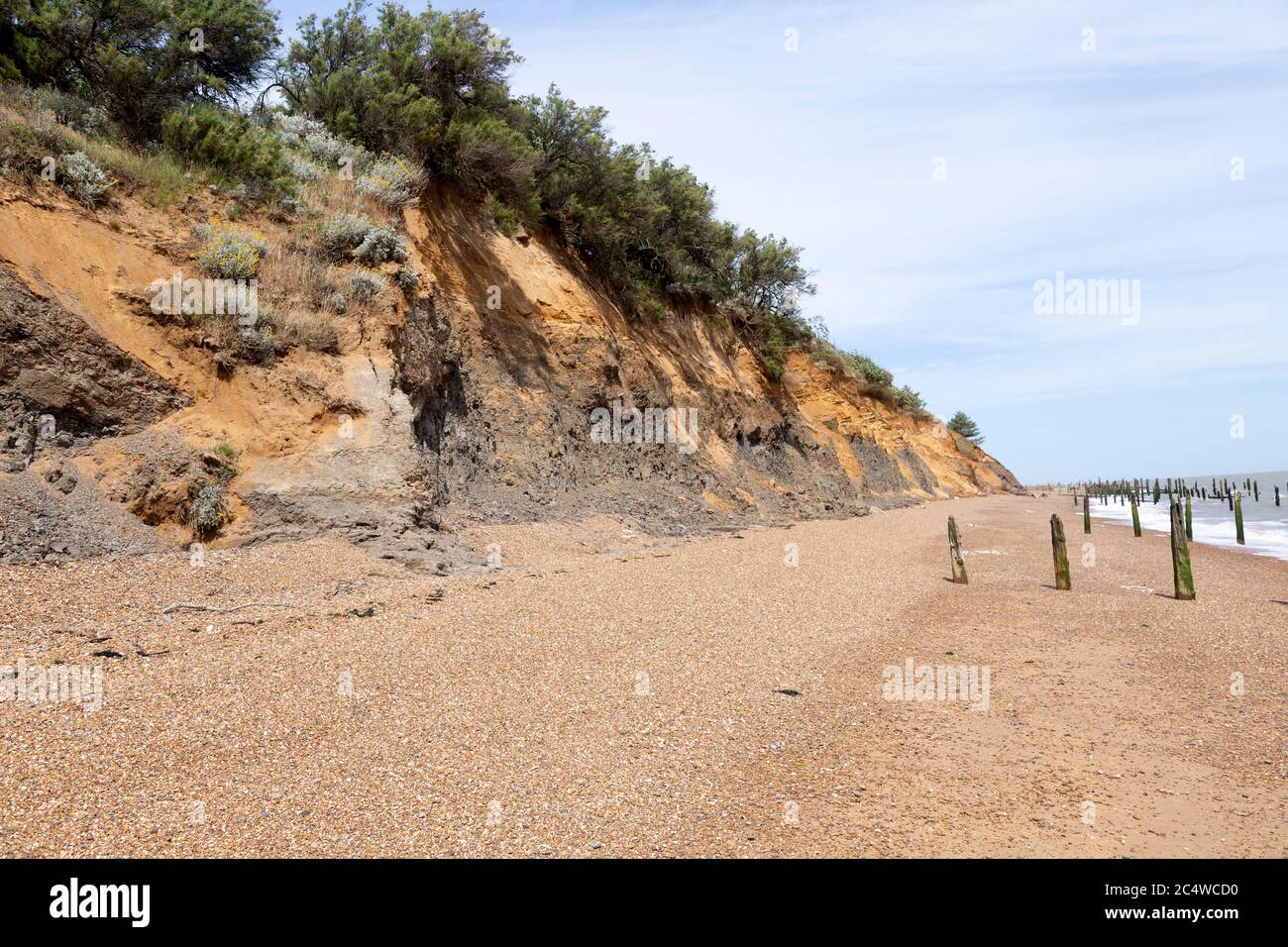 Coastal erosion soft crumbling cliffs on North Sea coast at Bawdsey, Suffolk, England, UK Stock Photo