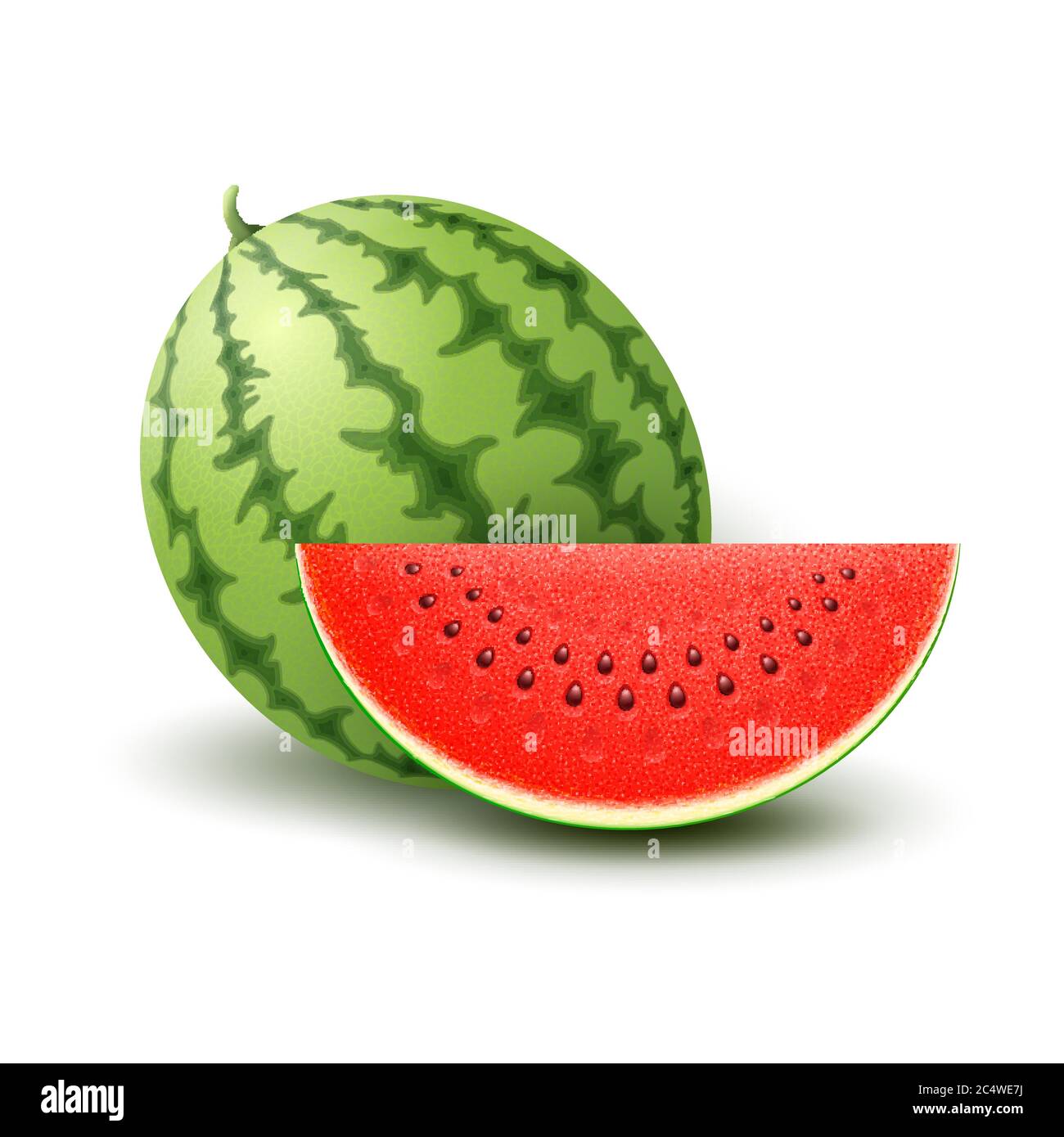 Vector Realistic Watermelon Stock Vector