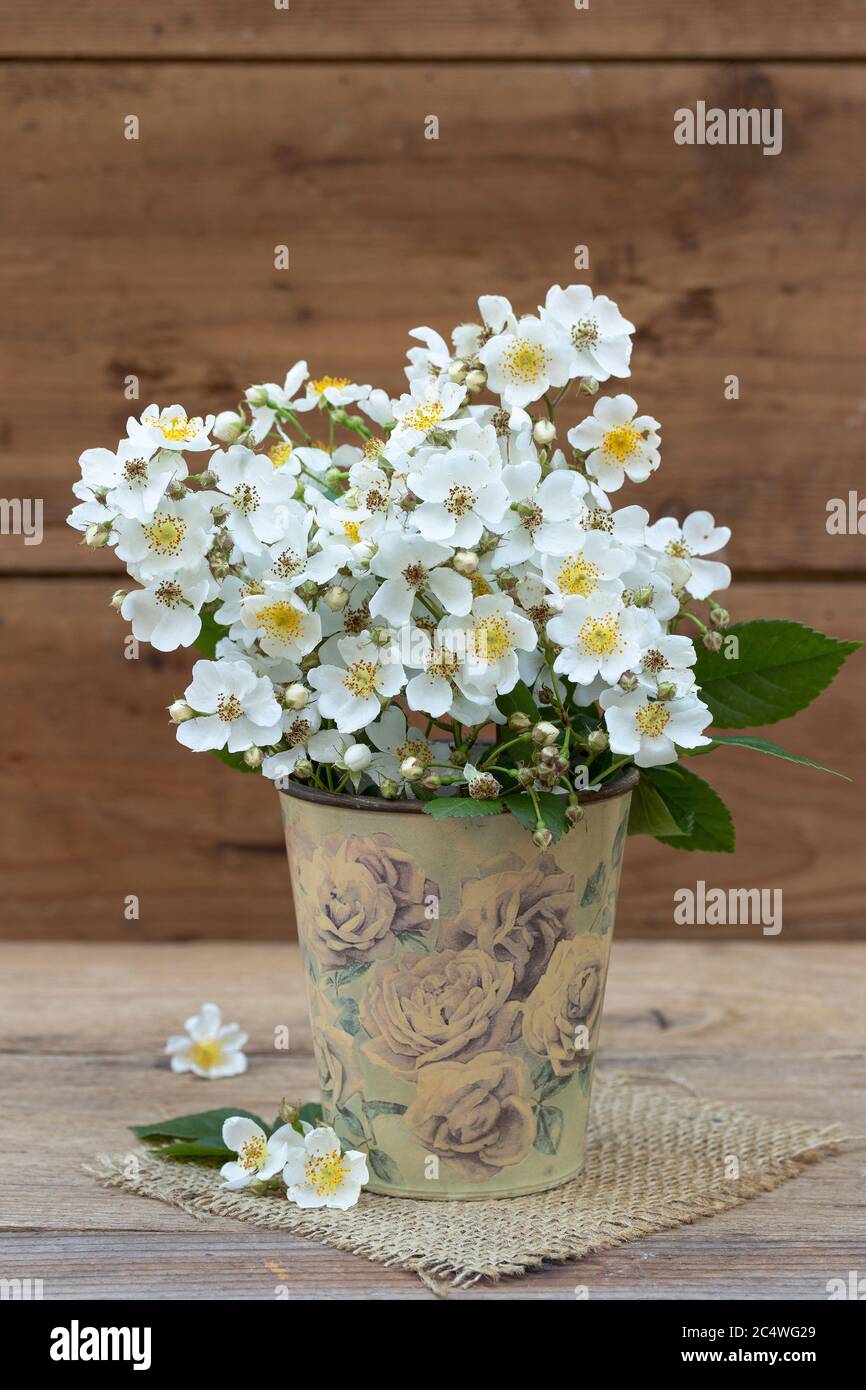 bouquet of white roses in vintage vase Stock Photo - Alamy