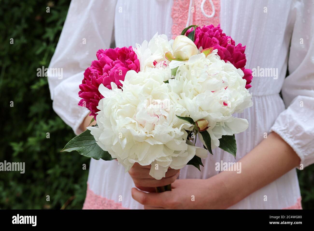 bouquet of peony flowers in women hands Stock Photo