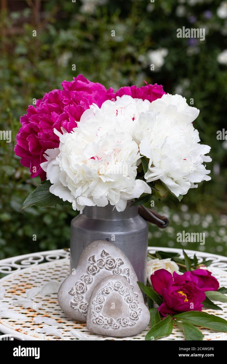 bouquet of peony flowers in white and pink in vintage vase Stock Photo
