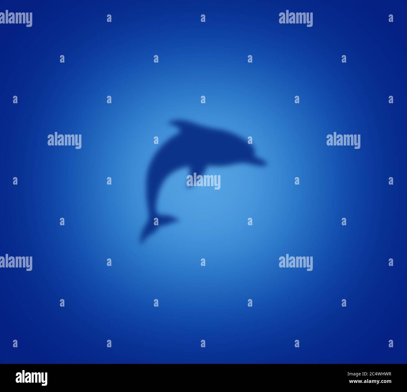 Blurred dolphin silhouette against a blue water background with a light blue glow Stock Photo