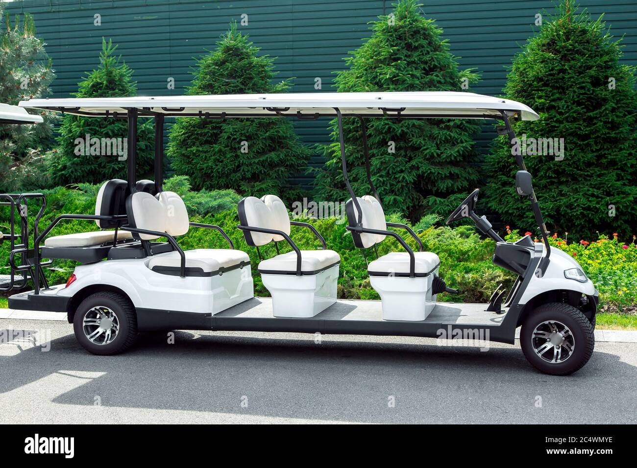 Golf electric vehicle deals