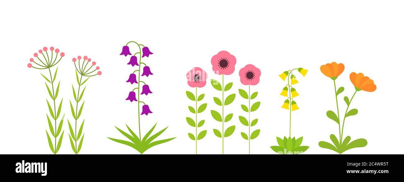Spring flowers plants set. Vector illustration. Stock Vector