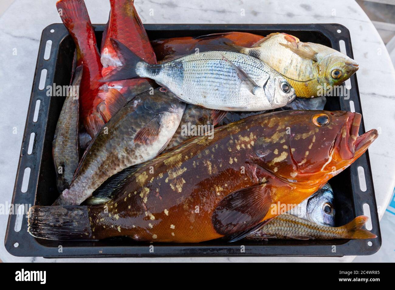 A selection of freshly caught fish on Santorini,Greek Islands Stock Photo
