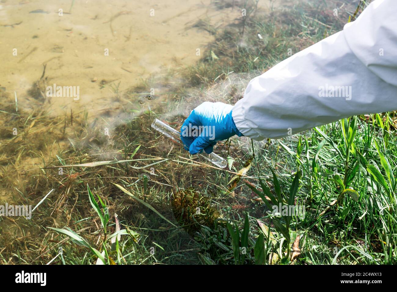 Fence, check the water sample for infections. Gloved hand with a flask