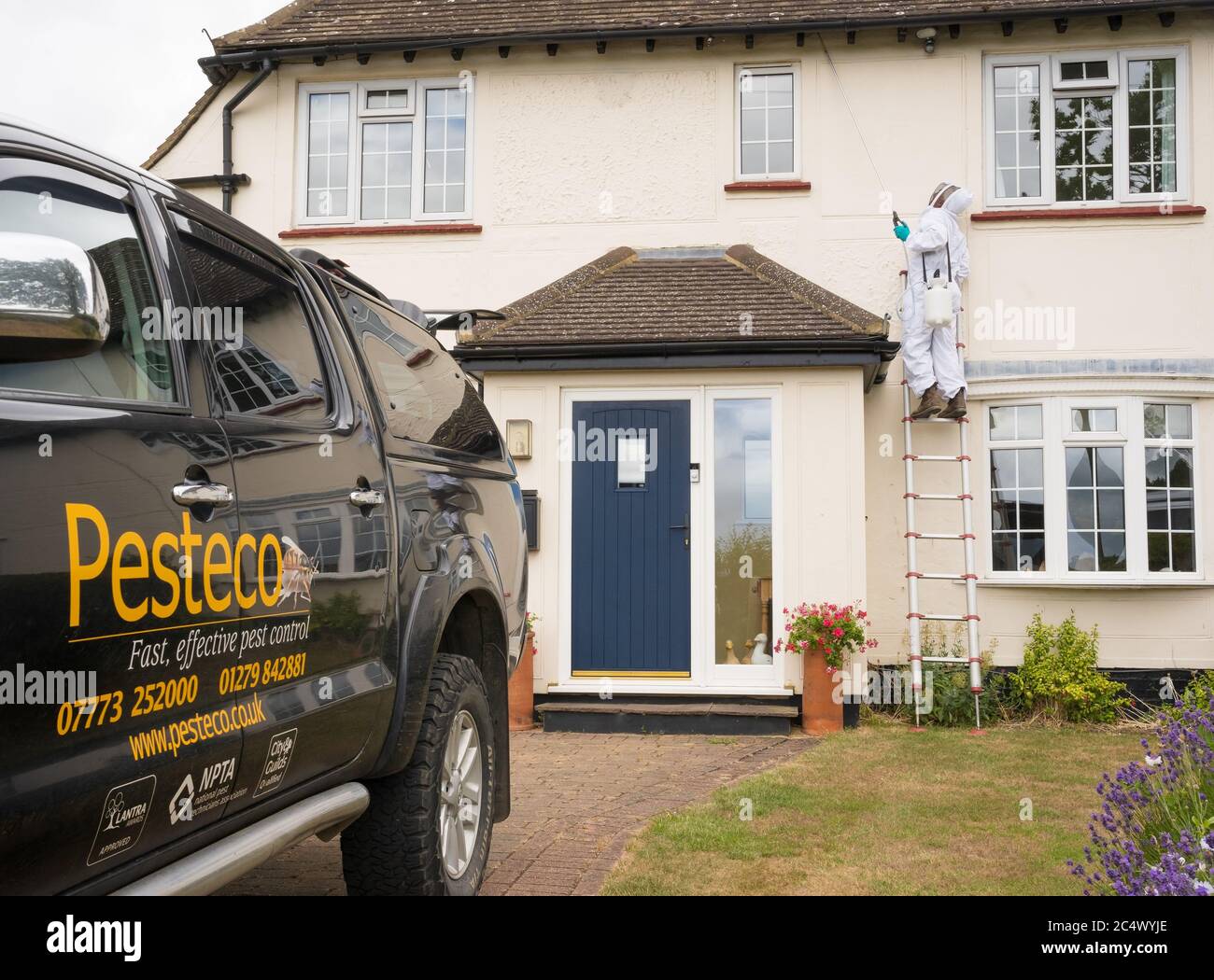 Unidentifiable Pest Controller in protective clothing on a ladder spraying wasp killer treatment on the eaves of a house, Hertfordshire, England UK Stock Photo