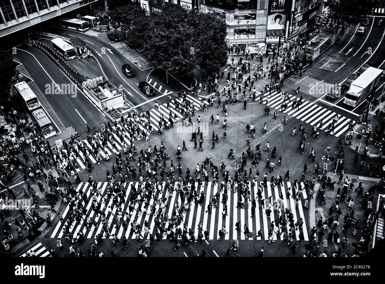 Aerial view of famous Shibuya Crossing, Shibuya, Tokyo, Japan Stock ...