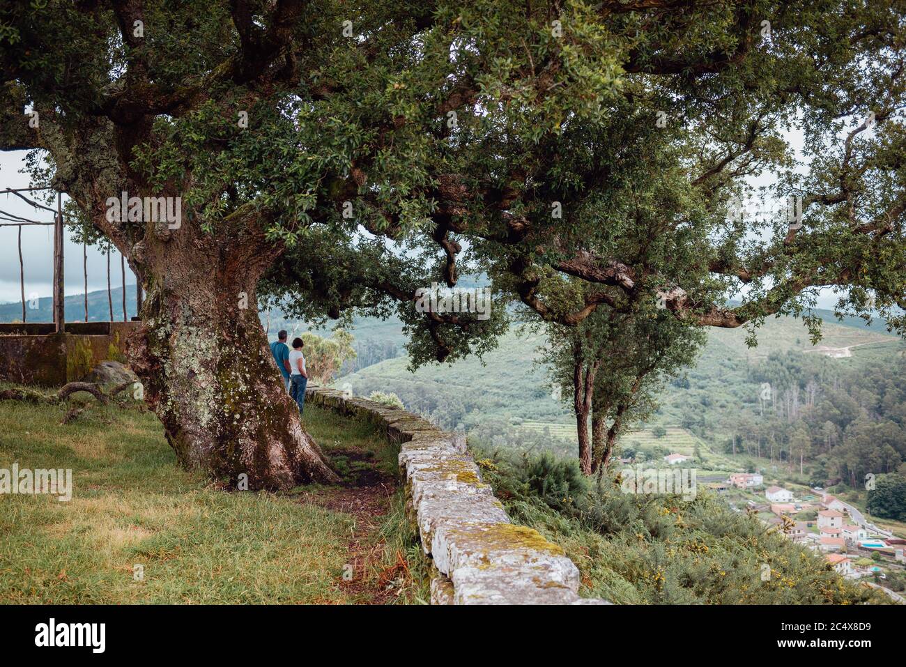 Couple contemplating the landscape below a cork oak tree Stock Photo