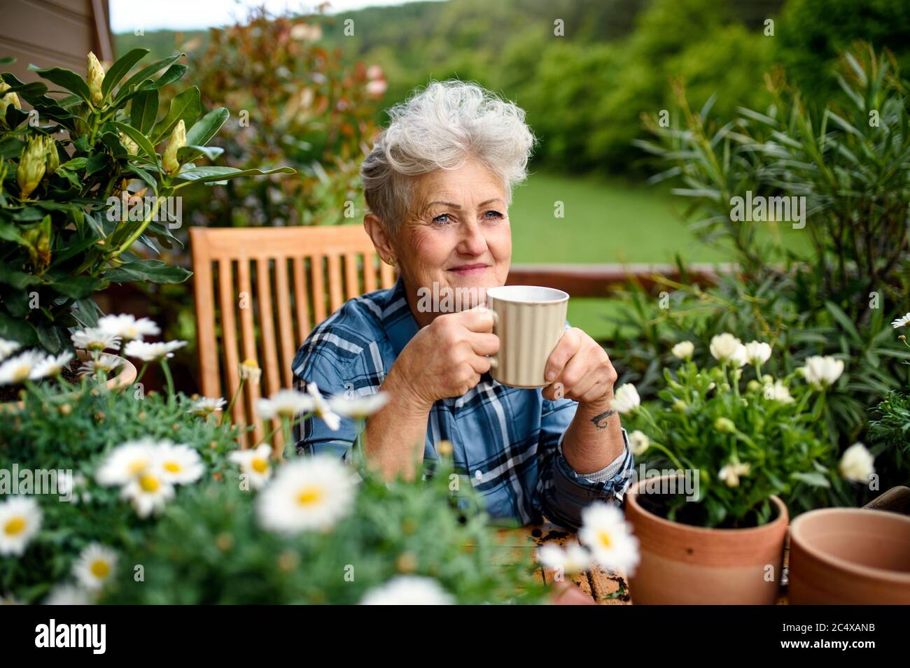 Senior woman gardening on balcony in summer, drinking coffee Stock ...