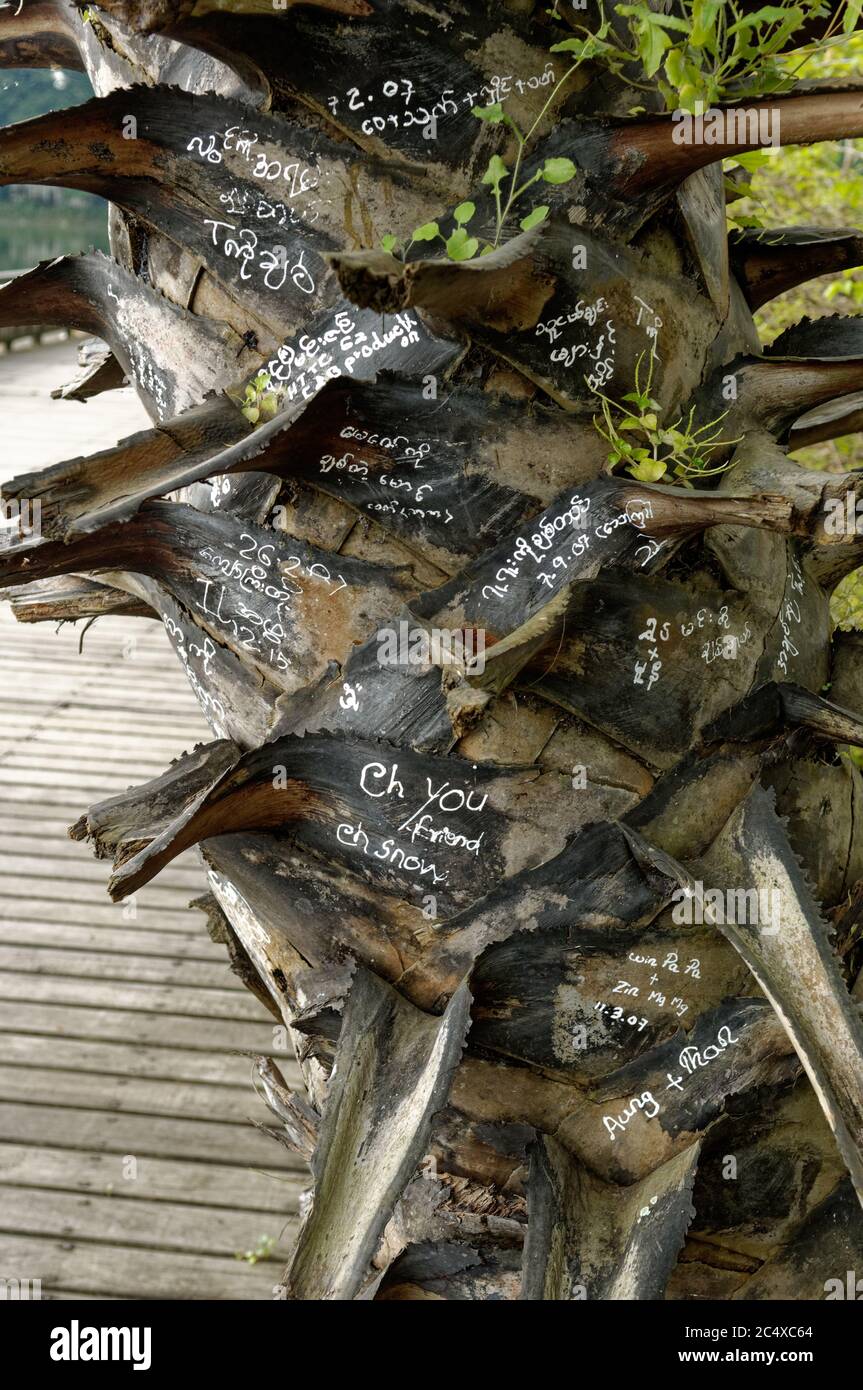 Love leaves, declarations of love and other messages on bark and leaves, Yangon, Myanmar Stock Photo