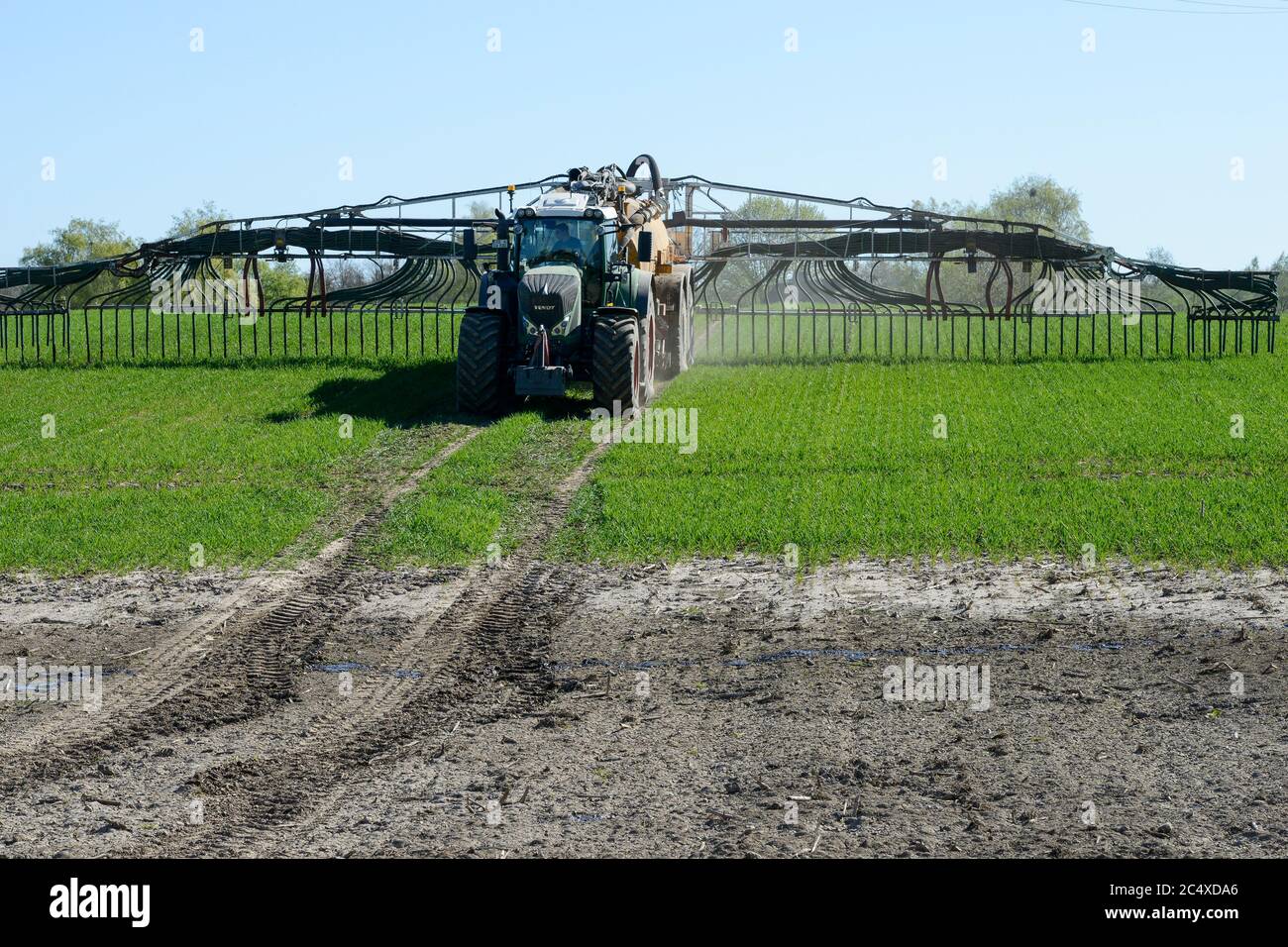 GERMANY, spreading of slurry in grain field, slurry from cattle stables increase nitrate content in groundwater / DEUTSCHLAND, Schleswig-Holstein, Duengung eines Getreide Feldes mit Gülle, Gülle aus Tierställen belastet Boden und Grundwasser mit Nitrat Stock Photo