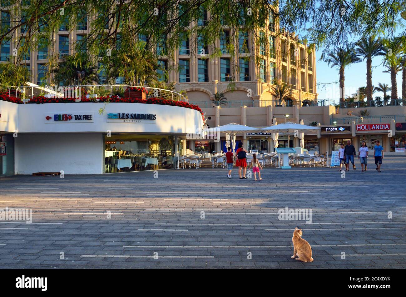 EILAT, ISRAEL - MARCH 2015: Main promenade in Eilat at sunset time, famous international resort - the southest city of Israel Stock Photo Alamy