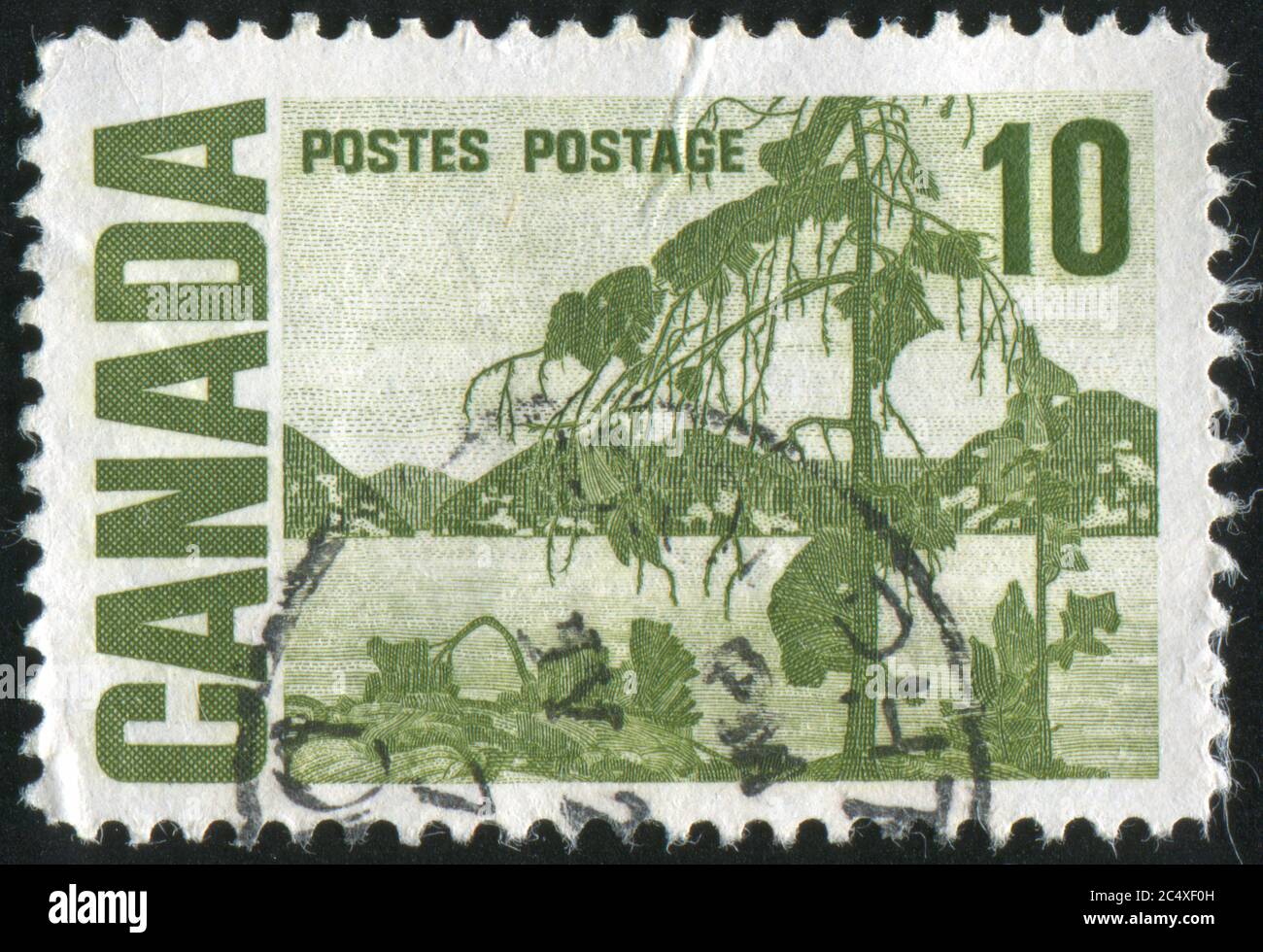 CANADA - CIRCA 1967: stamp printed by Canada, shows The Jack Pine” by ...