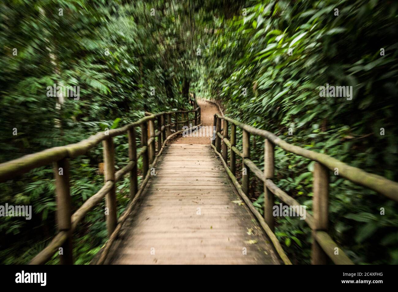 Trekking, wooden bridge, Brazil. Stock Photo