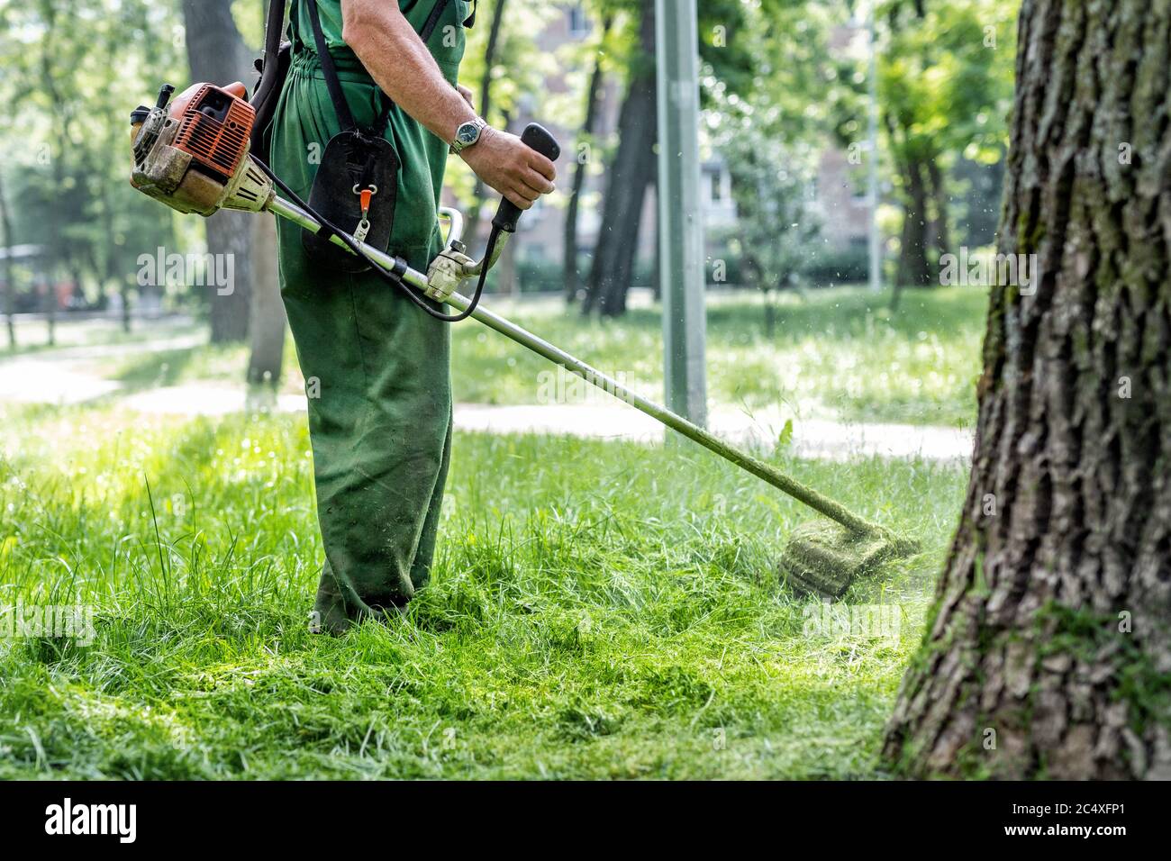 Worker mowing tall grass with electric or petrol lawn trimmer in city park  or backyard. Gardening care tools and equipment. Process of lawn trimming  Stock Photo - Alamy