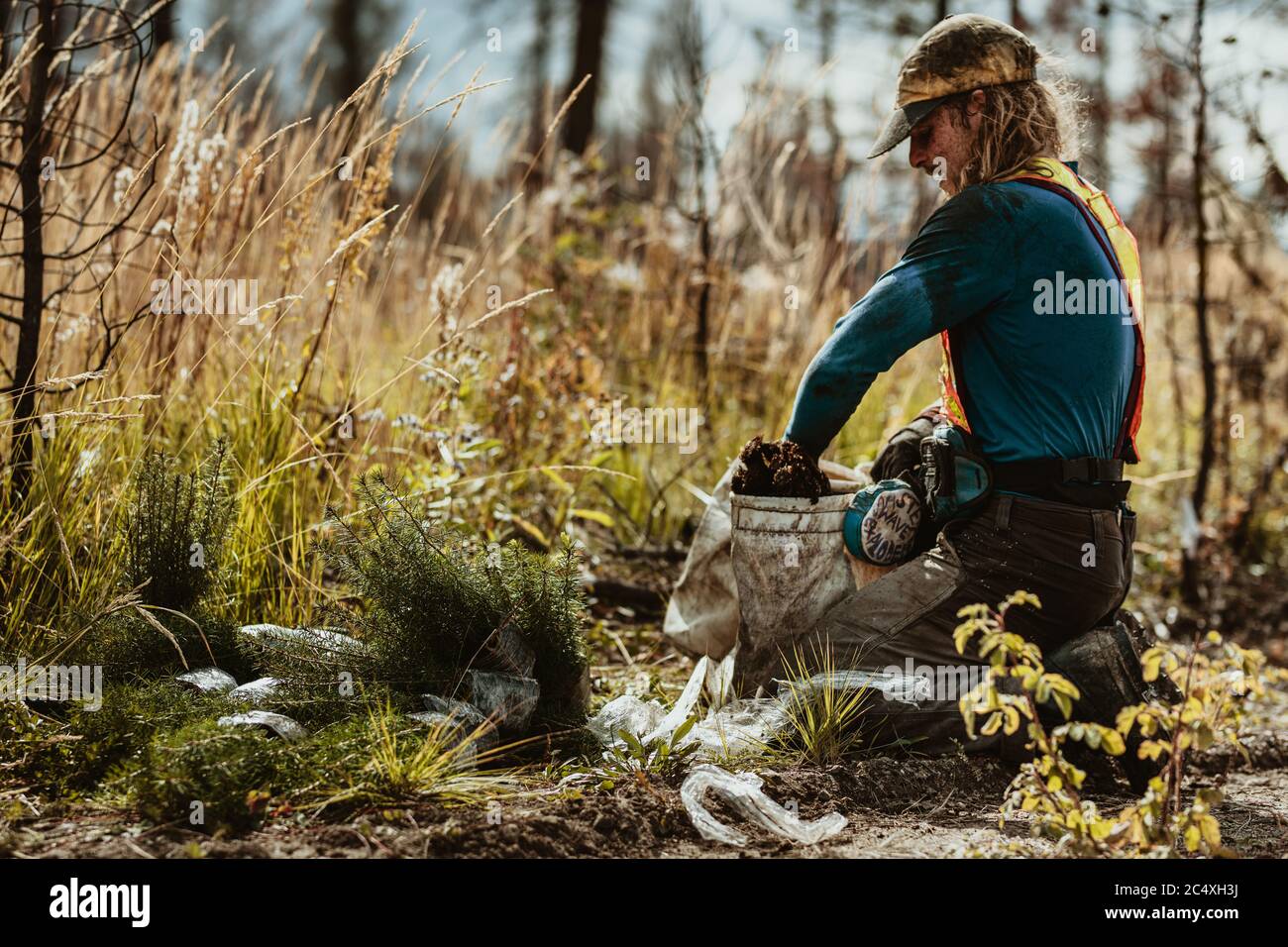 Forestry tree planting hires stock photography and images Alamy