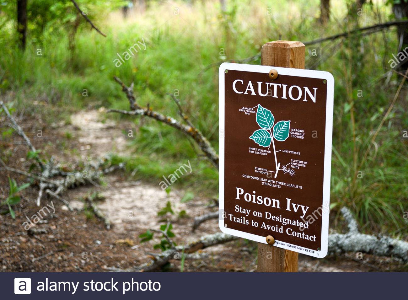 Poison Ivy Poison High Resolution Stock Photography and Images Alamy