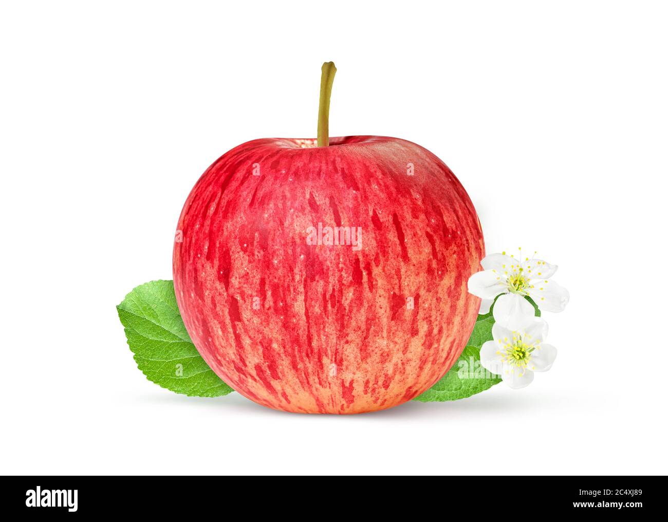 One red apple with green leaf isolated on white background with ...