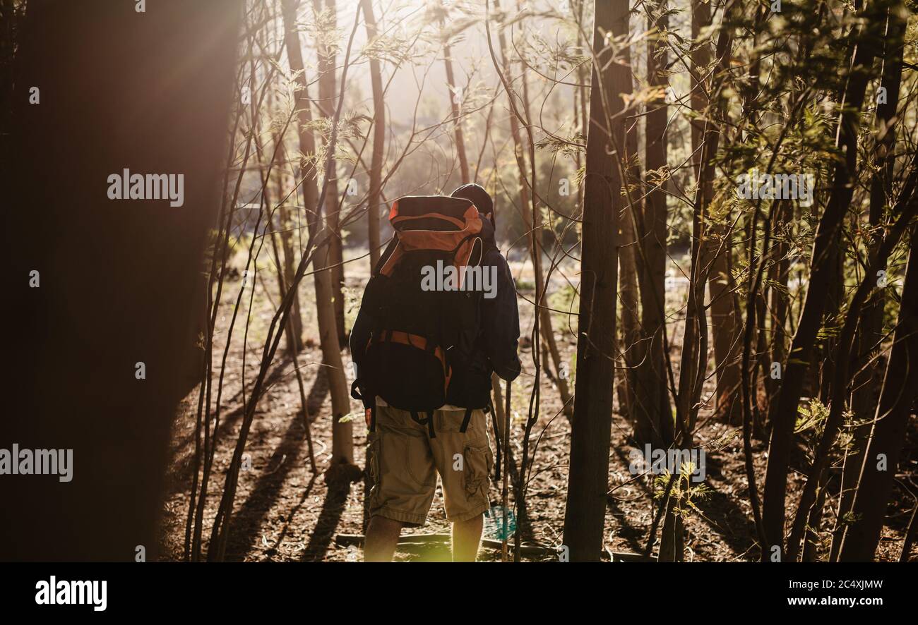 Rear view of man with backpack walking through trees on a mountain trail. Male backpacker hiking through trees on a sunny day. Stock Photo