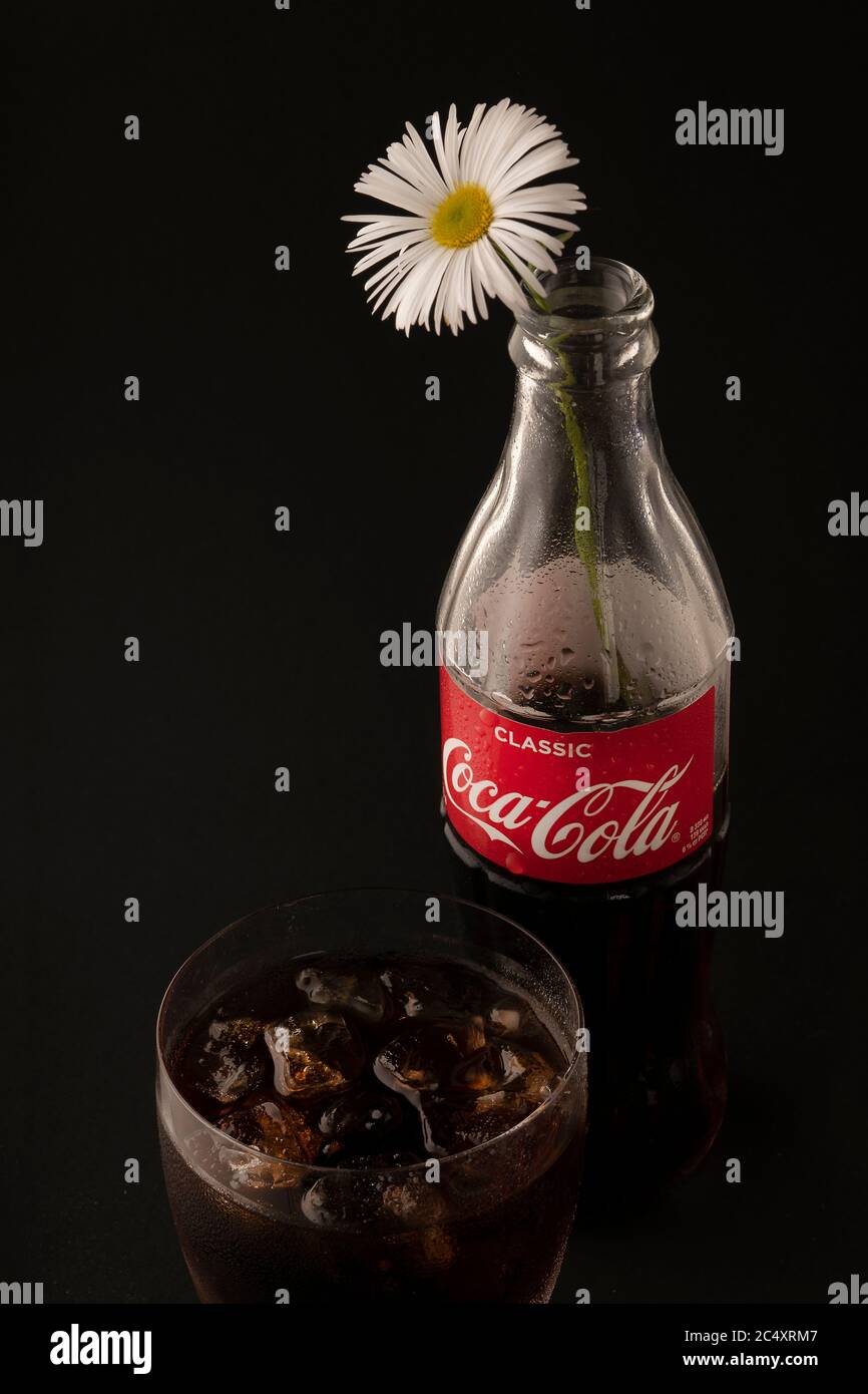Coca cola bottle flower vase hi-res stock photography and images - Alamy