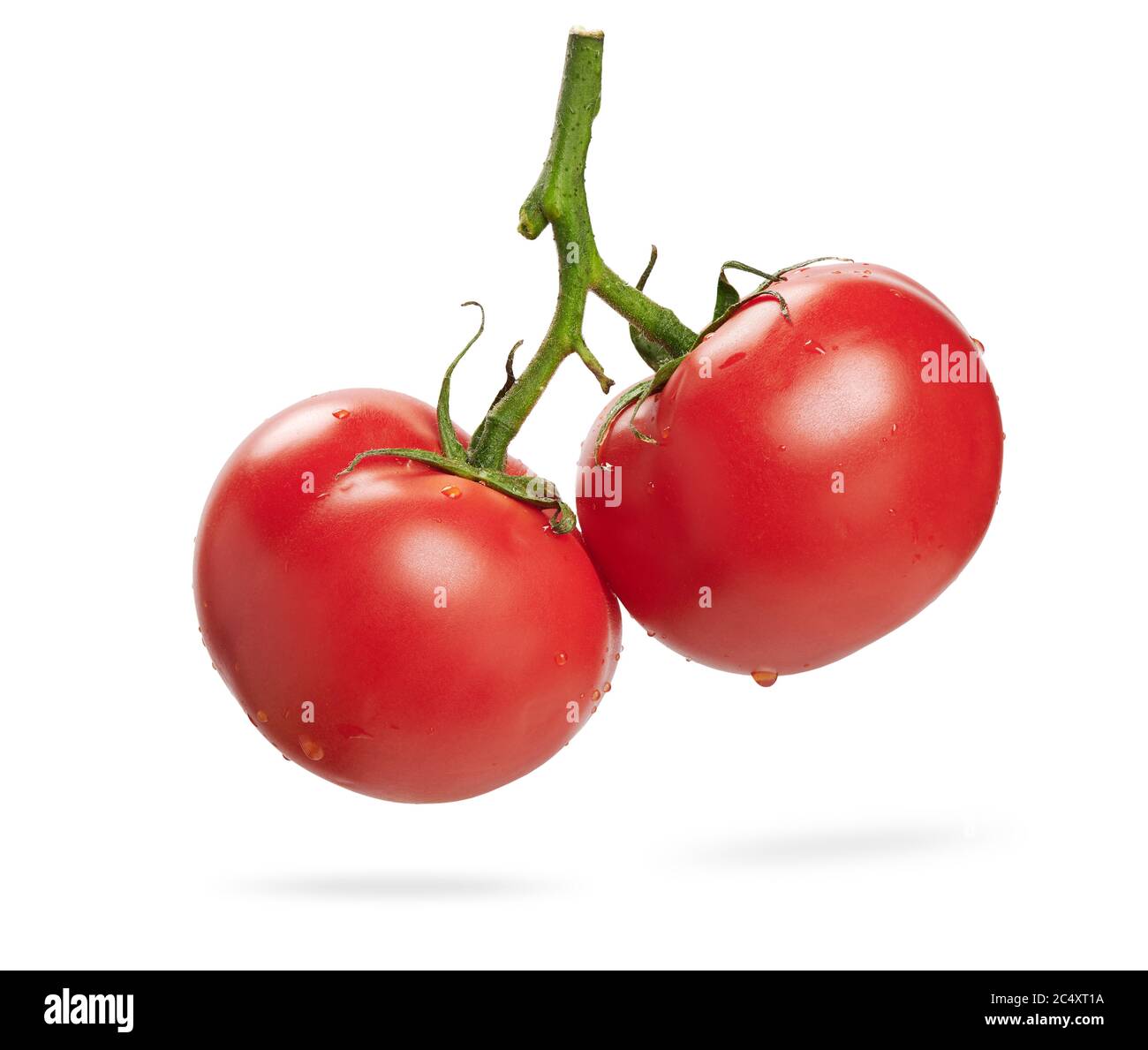 Tomato isolated on white background Stock Photo - Alamy