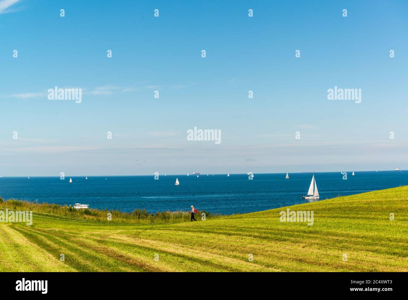 Abgeerntetes Kleefeld an der Ostsee-Steilküste bei Eckernförde mit herrlicher Fernsicht auf die dort kreuzenden Segelboote Stock Photo
