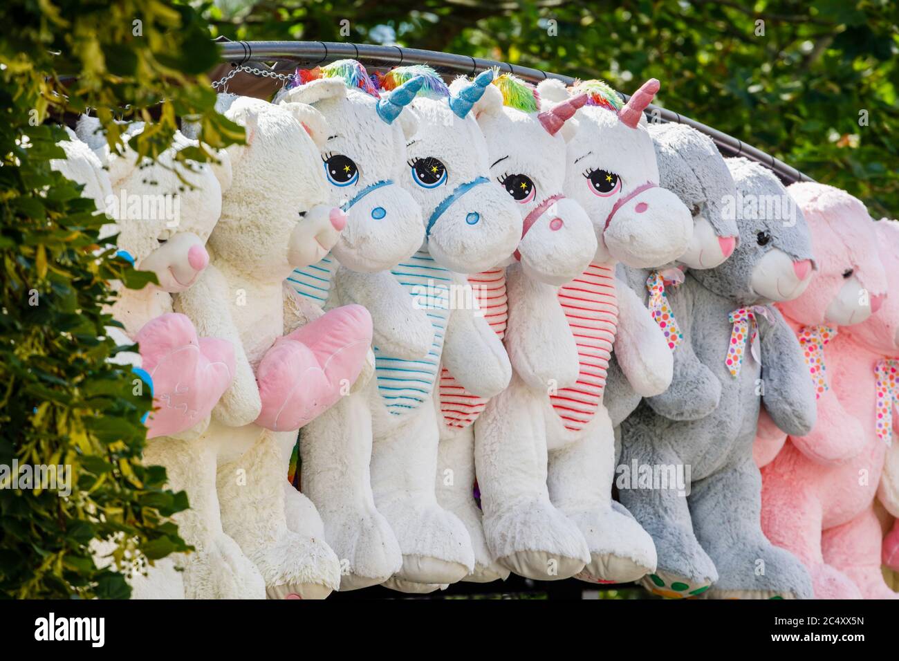 giant unicorn teddy south africa