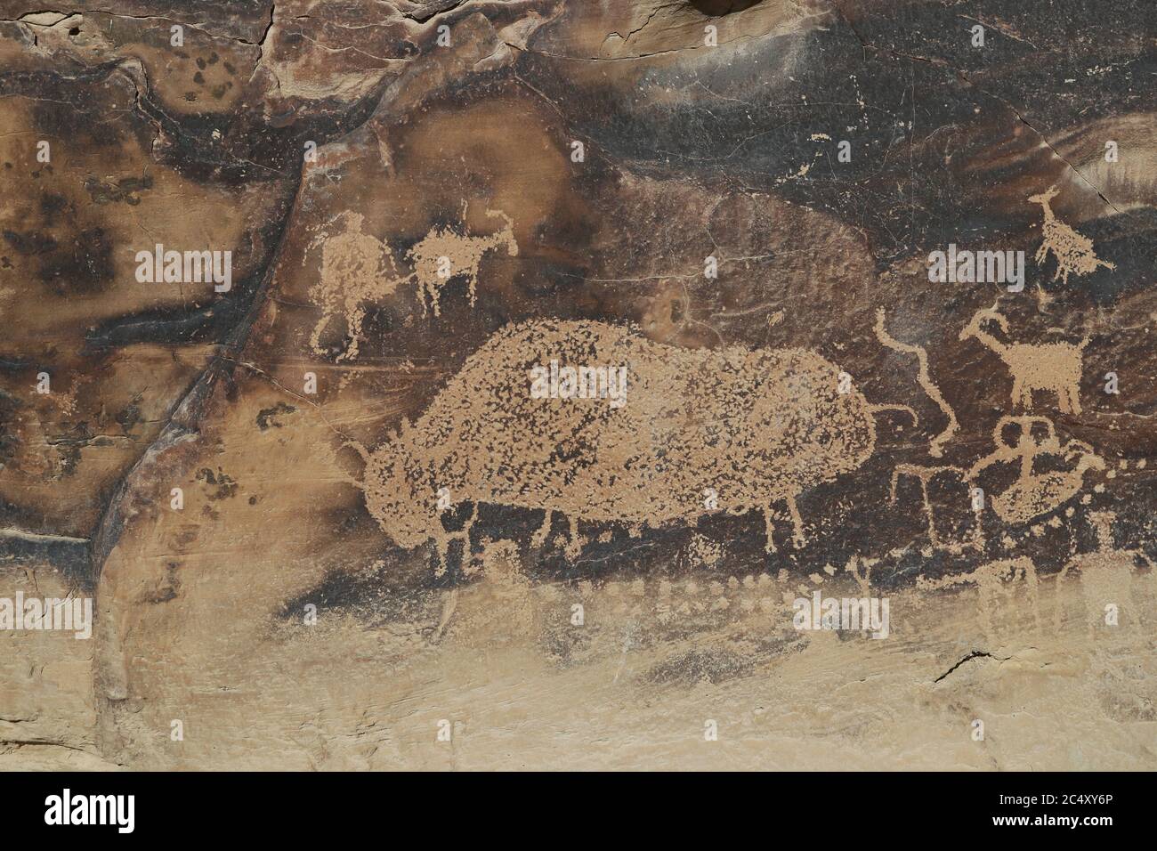 Ancient Native American Indian rock art petroglyph bison Utah 1485. Nine Mile Canyon, Utah. World’s longest art gallery of ancient native America Stock Photo