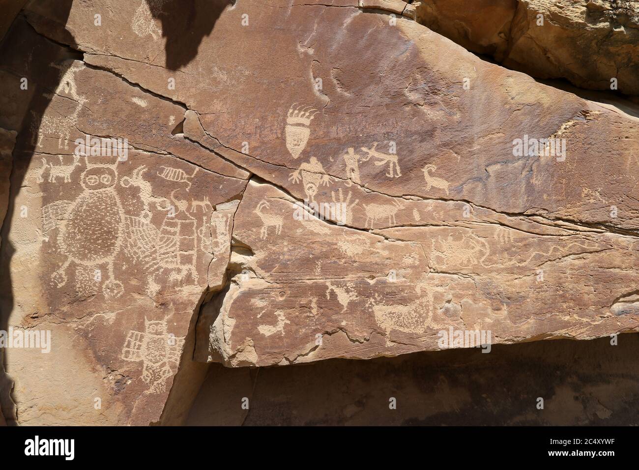 Endangered animals gallery hi-res stock photography and images - Alamy