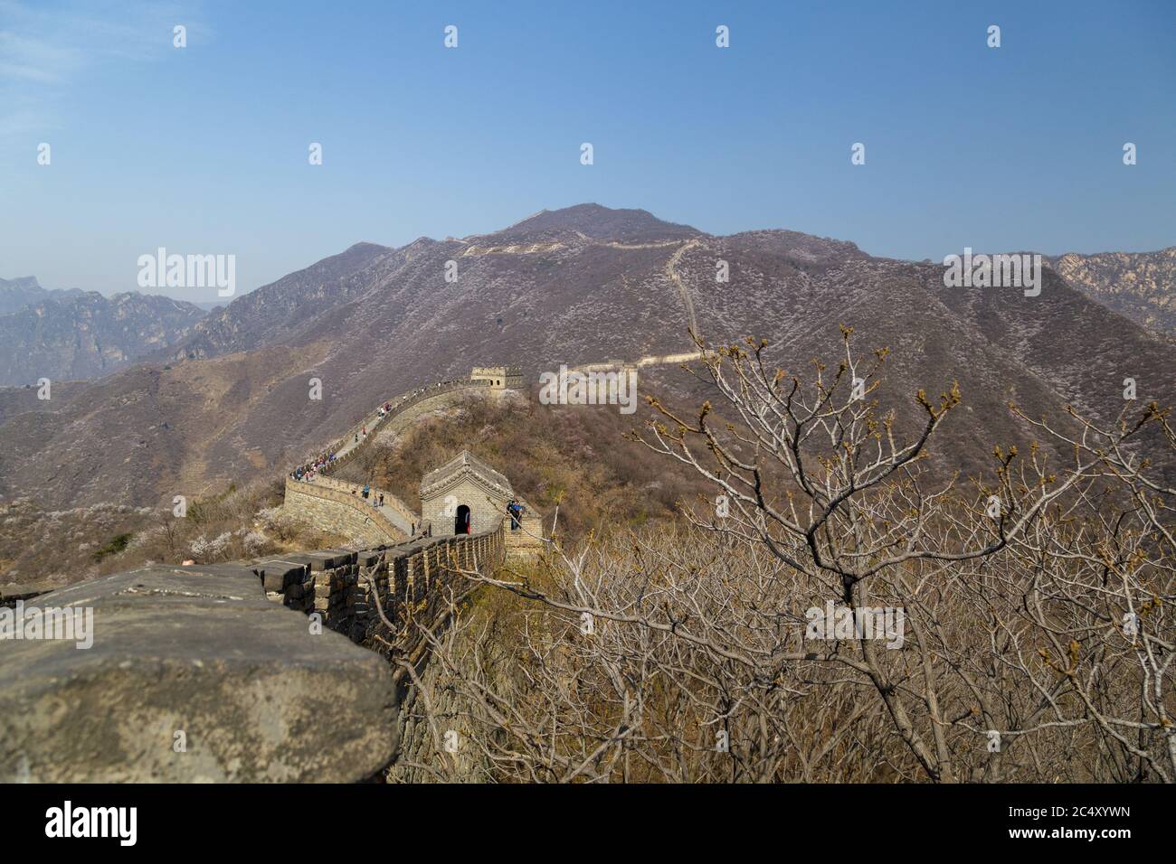 Beijing, China - CIRCA 2020: Great Wall of China in a green forest landscape at Mutianyu in Huairou District near Beijing, China. Autumn view of Grate Stock Photo