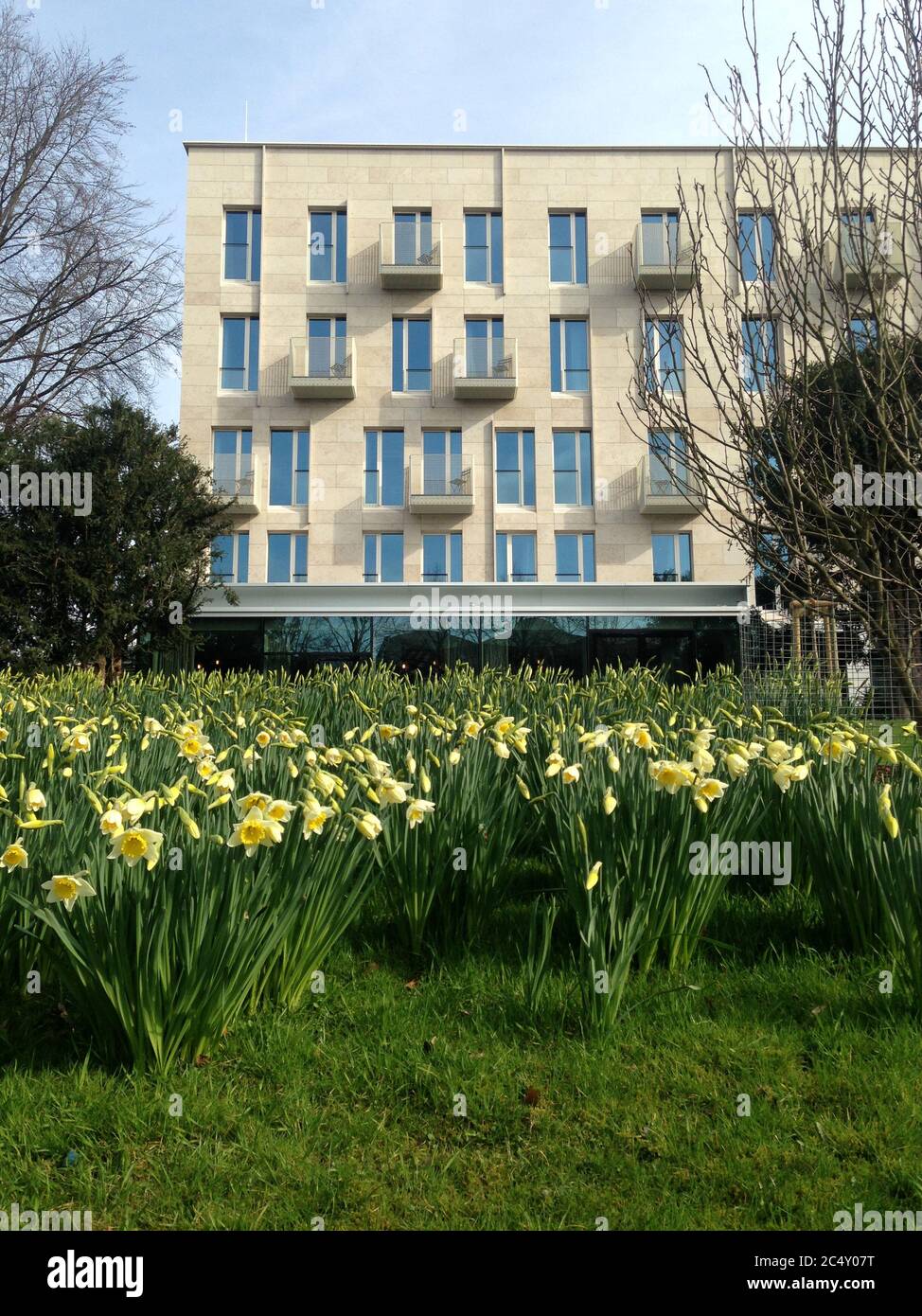 Hotel Mauritzhof in Muenster, Germany in spring with daffodils in front. Stock Photo