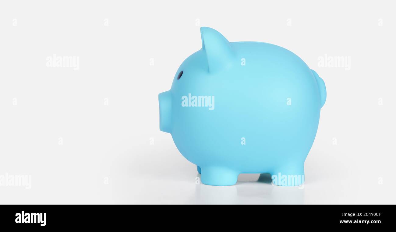 Piggy bank isolated on white background with clipping path. Side view ...