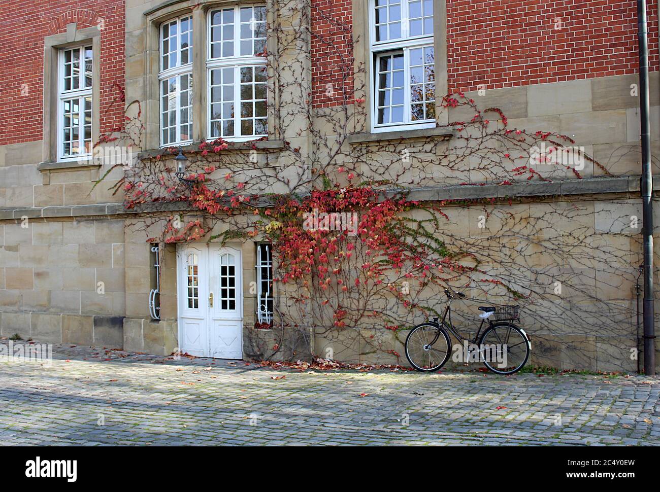 Facade of Schloss Muenster in Germany with a bicycle in front and red autumn foliage. Stock Photo
