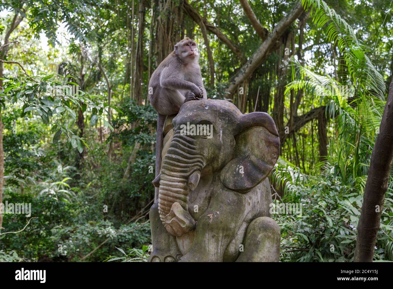 Monkey seats on a stone elephant relaxing in the shadow. Concept of animal care, travel and wildlife observation. Stock Photo