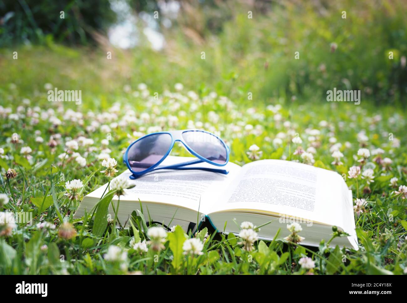 Open book and sunglasses on a meadow with clover on a sunny day, holiday relaxation in the nature during coronavirus pandemic, blurry background with Stock Photo