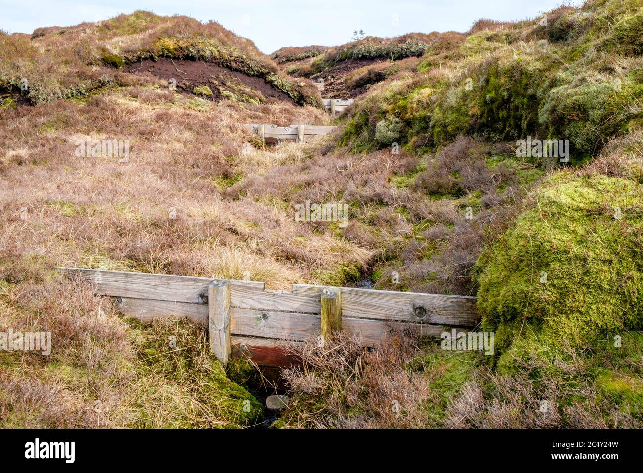 Gully blocking using wooden dams preventing erosion of the moor. Part of the moorland restoration work on Kinder Scout, Derbyshire, UK Stock Photo