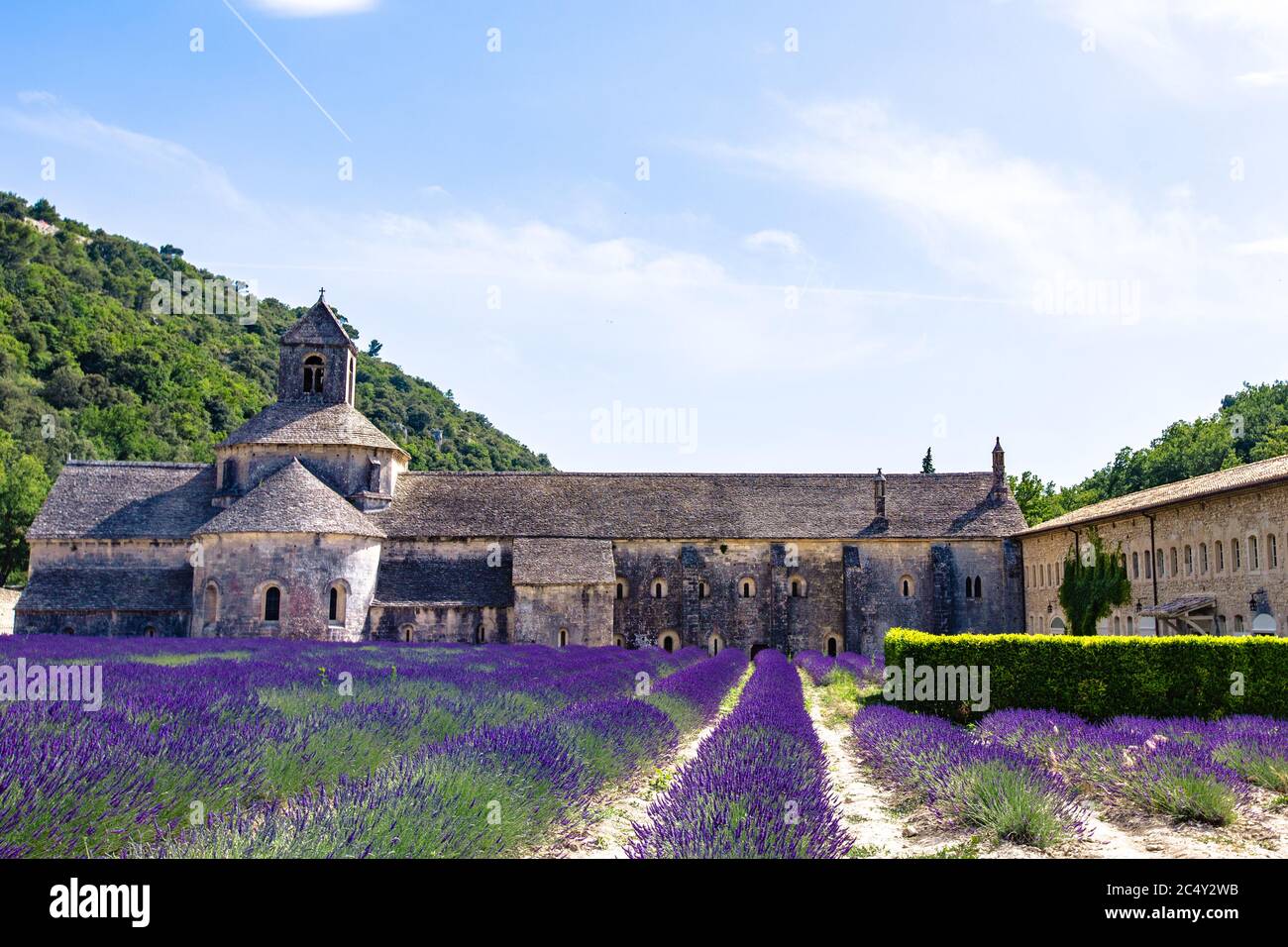 A big and beautiful lavender field in font of Abbaye Notre-Dame de  Sénanque, in Provence, France Stock Photo - Alamy