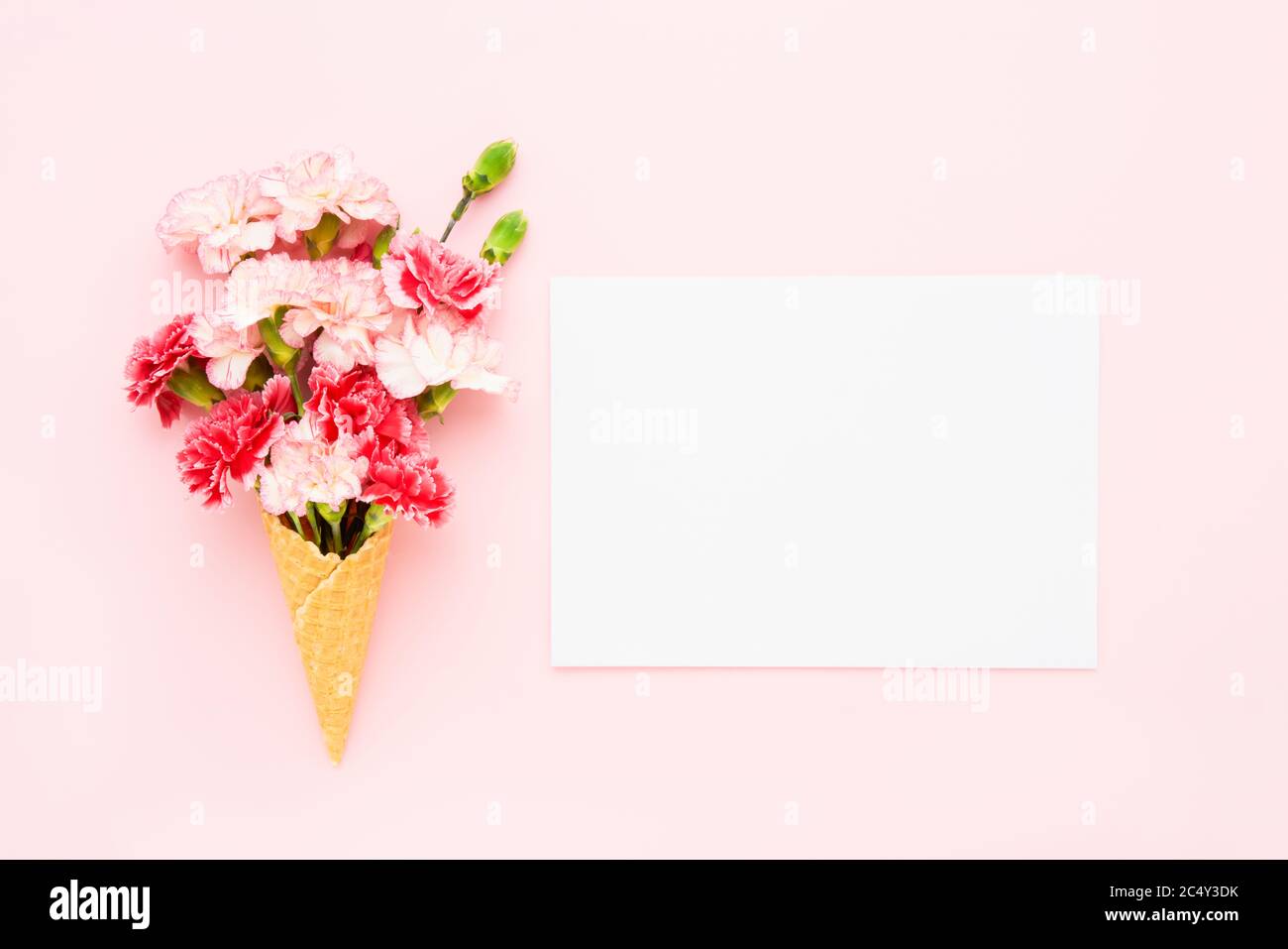 Flat-lay of ice cream scoops and peonies, vertical composition stock photo  (167404) - YouWorkForThem