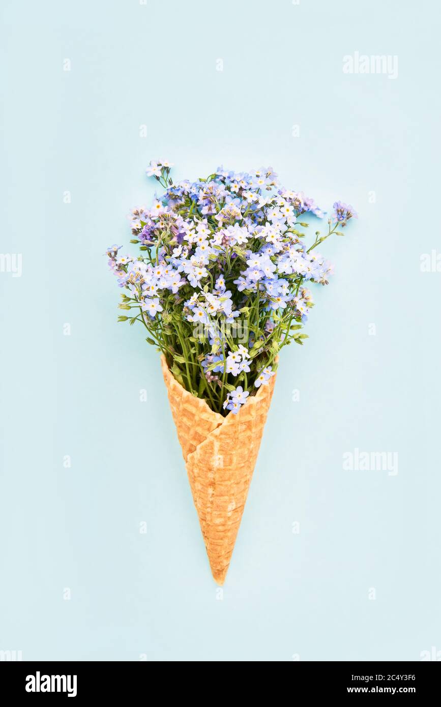 Blue forget-me-not flowers in waffle ice cream cone on light blue background. Summer concept. Top view, copy space for text Stock Photo