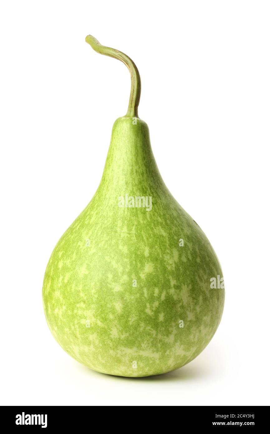 green gourd on white background Stock Photo - Alamy